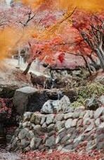 av自拍麻豆-自拍艺术，AV自拍麻豆——光影间的自我探索与展现