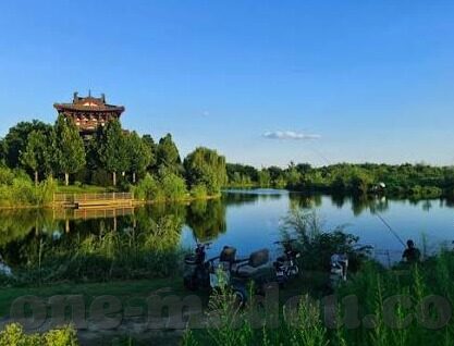 麻豆app下载网址-巧妙选优，麻豆app的便捷下载体验分享