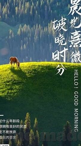 麻豆传媒app 1080p-360度探索，高清影视体验下的娱乐新境界——以1080p麻豆传媒app为例