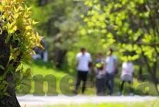 麻豆传媒app-探寻麻豆传媒Ap知识分享的纯正体验，数字化时代的娱乐新视角