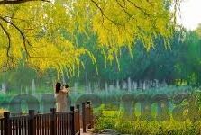 台湾星空无限传媒 麻豆-台湾星光璀璨，麻豆地区的传媒风采
