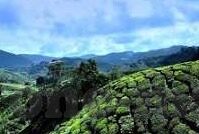 一区二区三区国产好的精华液-探索肌肤护理新境界，一区二区三区国产精华液的卓越之处